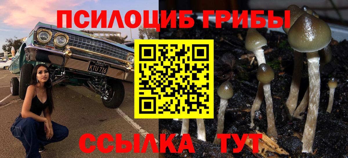 Псилоцибиновые грибы ЛСД  Псилоцибиновые грибы Cubensis  Вход с VPN  Рассказово 